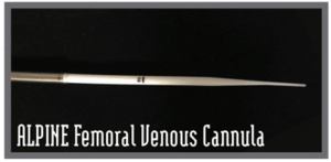 alpine femoral venous cannula